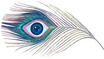 Vasudev Eye Clinic - Dr. Kalpesh Shah - Eye Specialist, Ophthalmologist, Eye Surgeon, LASIK, High Quality Eye Care