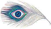 Vasudev Eye Clinic - Dr. Kalpesh Shah - Eye Specialist, Ophthalmologist, Eye Surgeon, LASIK, High Quality Eye Care